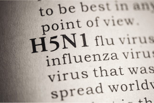 H5N1