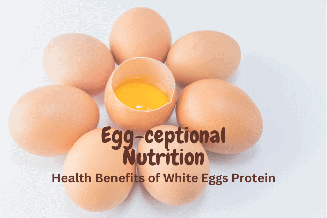 White-Eggs-Protein