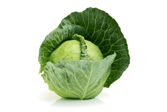 The Cabbage Soup Diet - Benefits